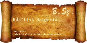 Bálint Szigfrid névjegykártya
